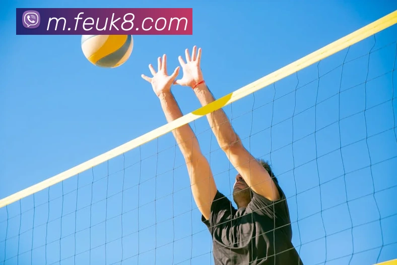 多媒体互动体验